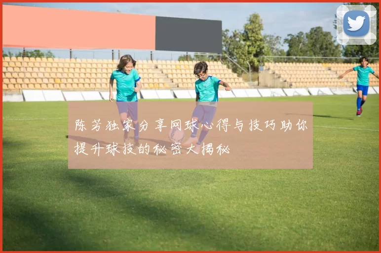 陈芳独家分享网球心得与技巧助你提升球技的秘密大揭秘