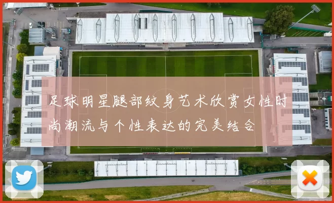 足球明星腿部纹身艺术欣赏女性时尚潮流与个性表达的完美结合