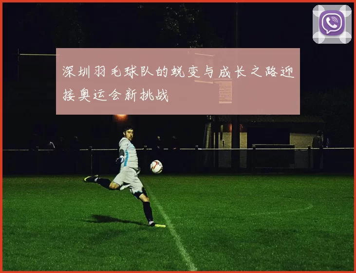 深圳羽毛球队的蜕变与成长之路迎接奥运会新挑战