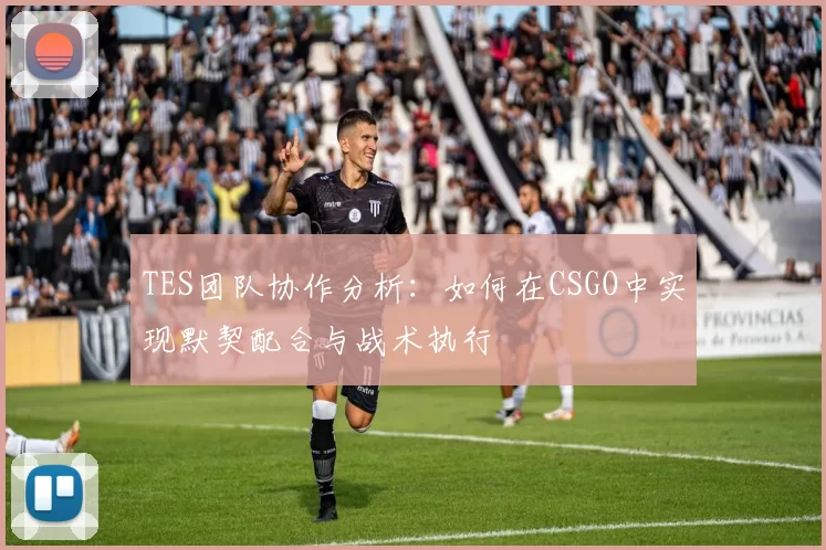 TES团队协作分析：如何在CSGO中实现默契配合与战术执行
