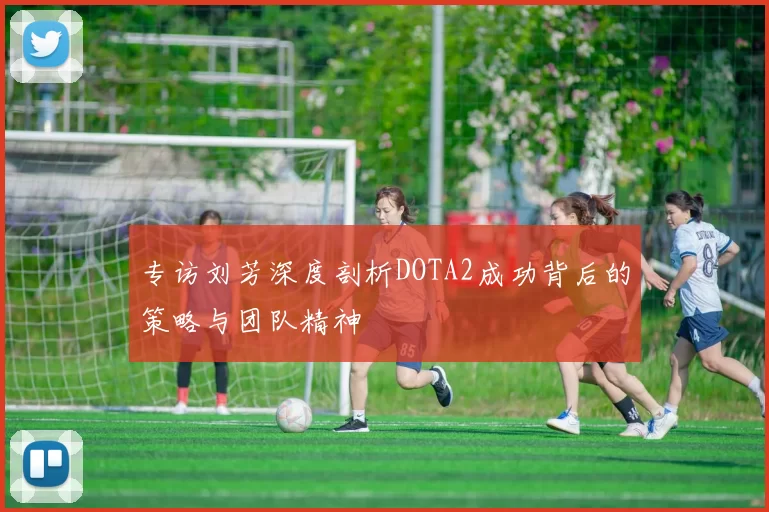 专访刘芳深度剖析DOTA2成功背后的策略与团队精神