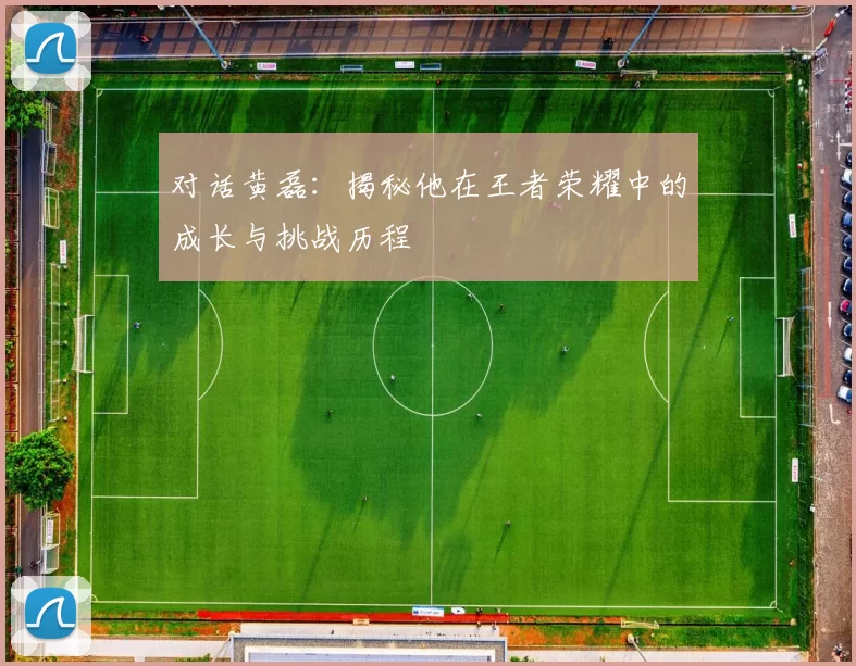 对话黄磊：揭秘他在王者荣耀中的成长与挑战历程