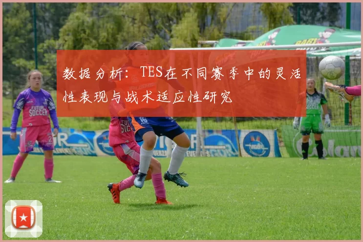数据分析：TES在不同赛季中的灵活性表现与战术适应性研究