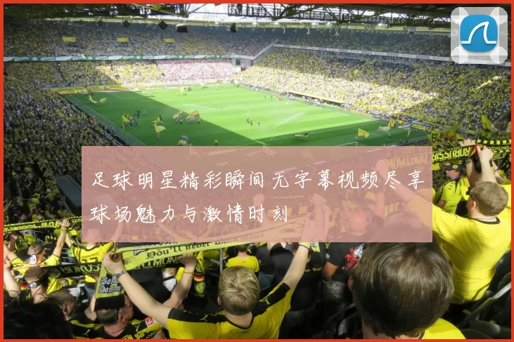 足球明星精彩瞬间无字幕视频尽享球场魅力与激情时刻