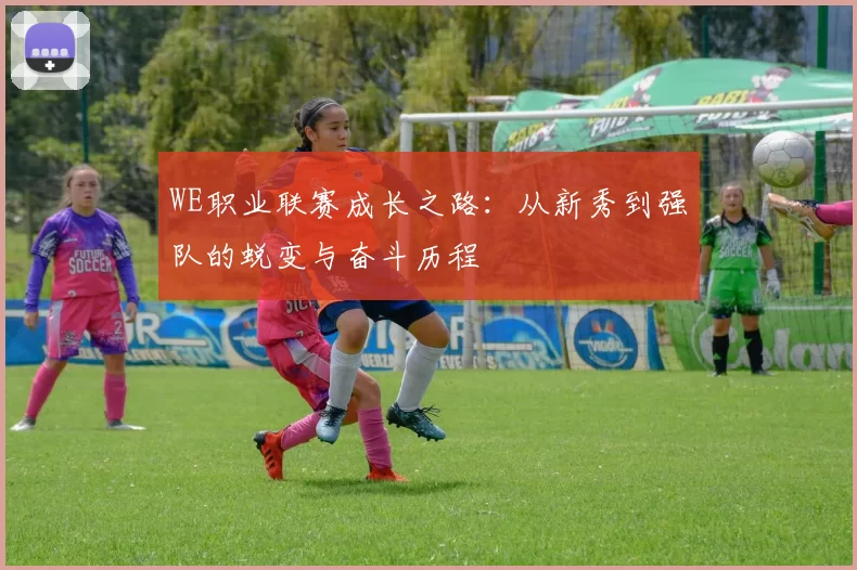 WE职业联赛成长之路：从新秀到强队的蜕变与奋斗历程