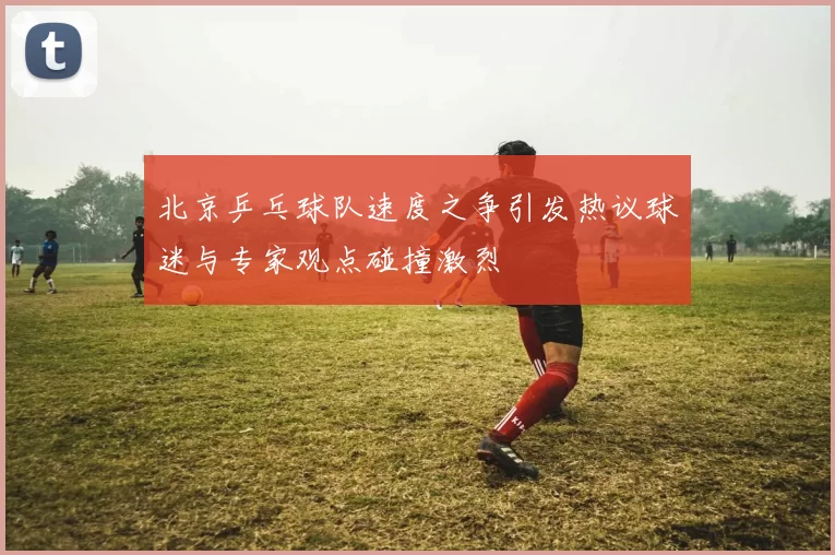 北京乒乓球队速度之争引发热议球迷与专家观点碰撞激烈