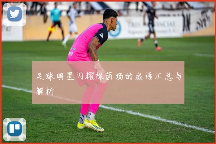 足球明星闪耀绿茵场的成语汇总与解析