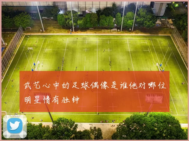 武艺心中的足球偶像是谁他对哪位明星情有独钟