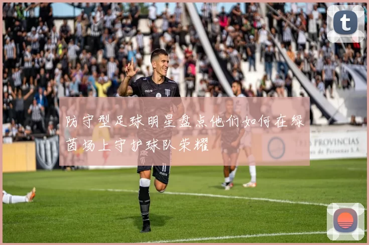 防守型足球明星盘点他们如何在绿茵场上守护球队荣耀