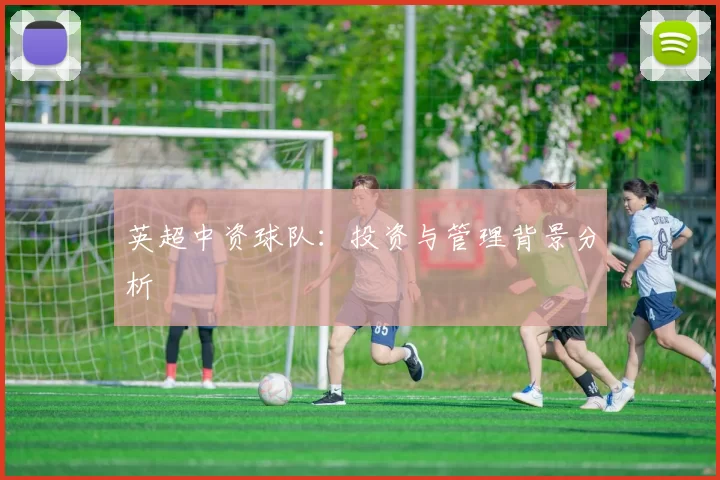 英超中资球队：投资与管理背景分析