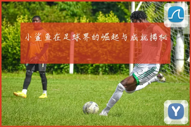 小鲨鱼在足球界的崛起与成就揭秘