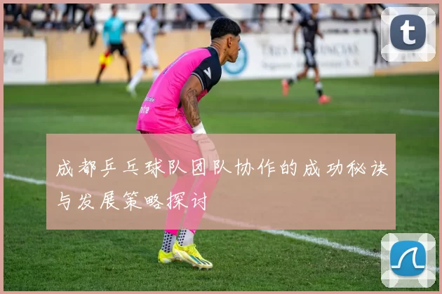 成都乒乓球队团队协作的成功秘诀与发展策略探讨