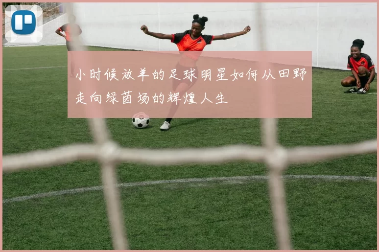 小时候放羊的足球明星如何从田野走向绿茵场的辉煌人生