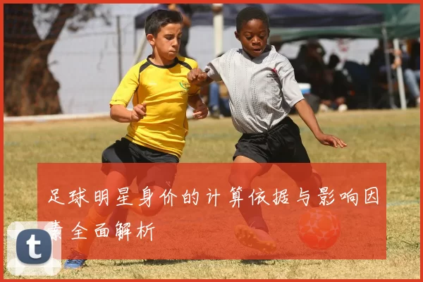 足球明星身价的计算依据与影响因素全面解析