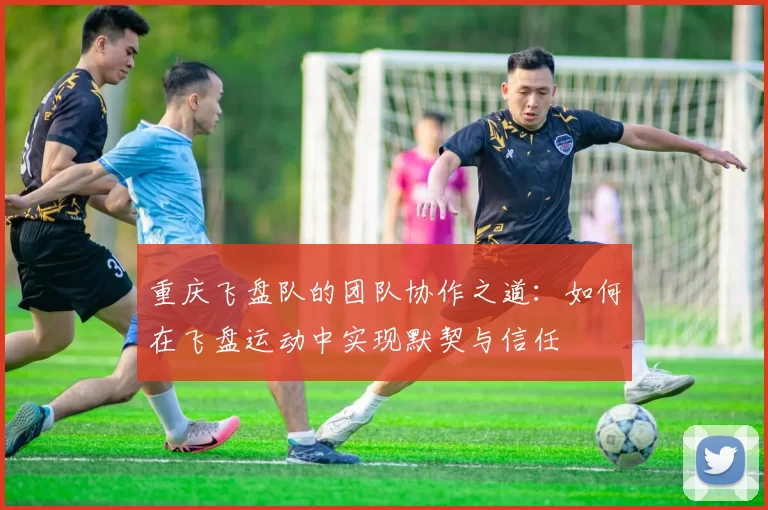 重庆飞盘队的团队协作之道：如何在飞盘运动中实现默契与信任