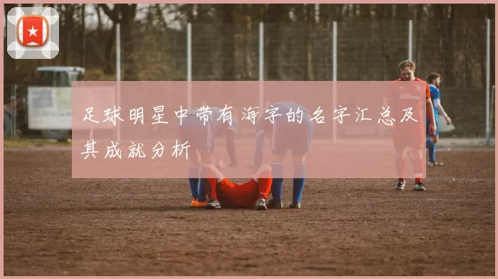 足球明星中带有海字的名字汇总及其成就分析