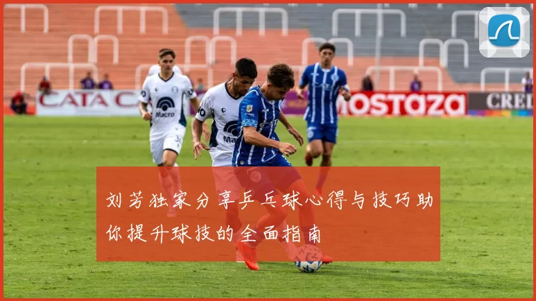刘芳独家分享乒乓球心得与技巧助你提升球技的全面指南