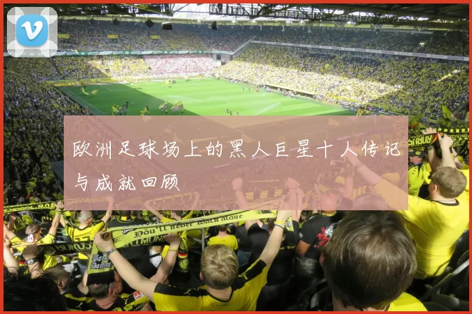 欧洲足球场上的黑人巨星十人传记与成就回顾