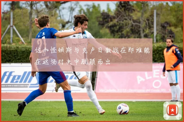 佐加怪顿斯与克卢日激战在即谁能在这场对决中脱颖而出