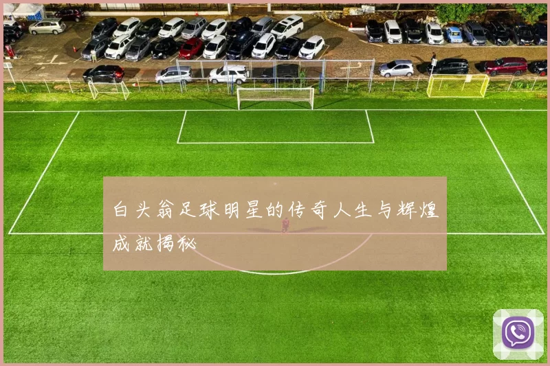 白头翁足球明星的传奇人生与辉煌成就揭秘