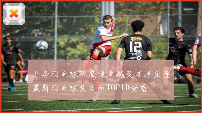 上海羽毛球队展现卓越灵活性荣登最新羽毛球灵活性TOP10榜首