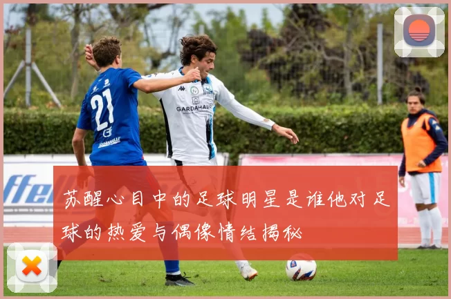 苏醒心目中的足球明星是谁他对足球的热爱与偶像情结揭秘