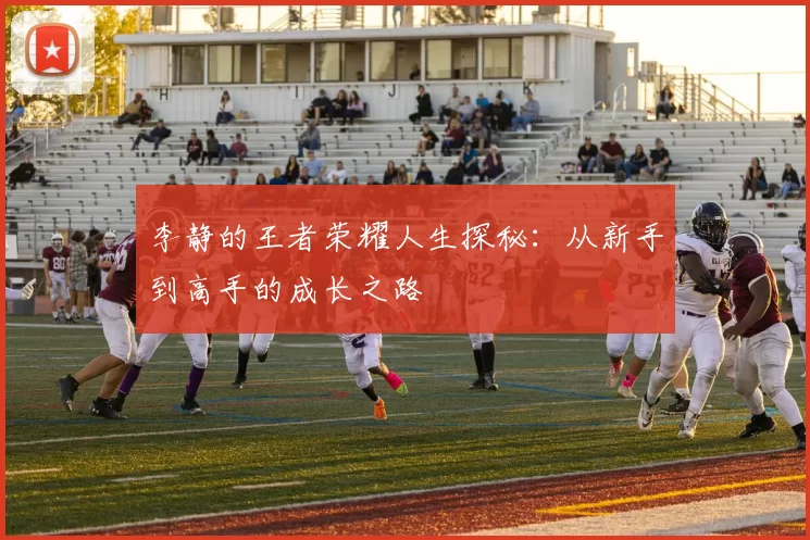 李静的王者荣耀人生探秘：从新手到高手的成长之路
