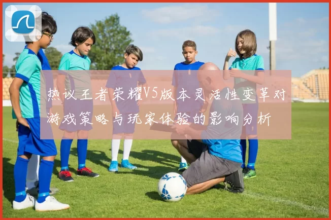 热议王者荣耀V5版本灵活性变革对游戏策略与玩家体验的影响分析