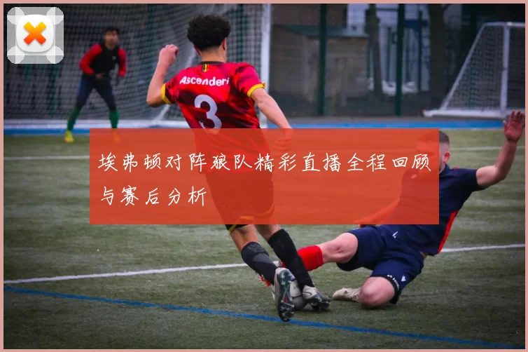 埃弗顿对阵狼队精彩直播全程回顾与赛后分析