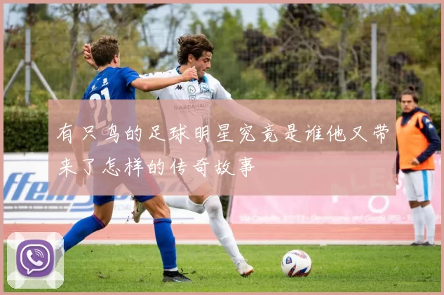 有只鸟的足球明星究竟是谁他又带来了怎样的传奇故事