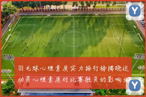 羽毛球心理素质实力排行榜揭晓运动员心理素质对比赛胜负的影响分析